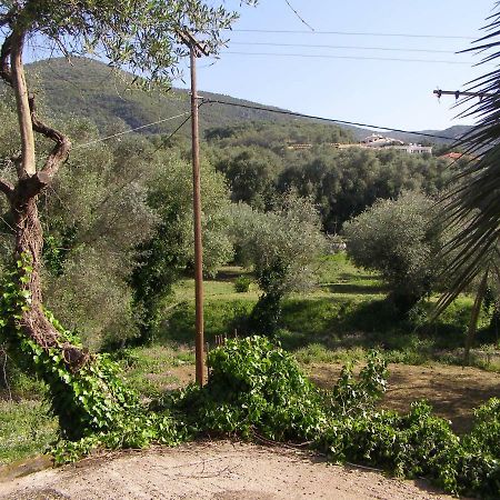 Milos Studios Parga Esterno foto
